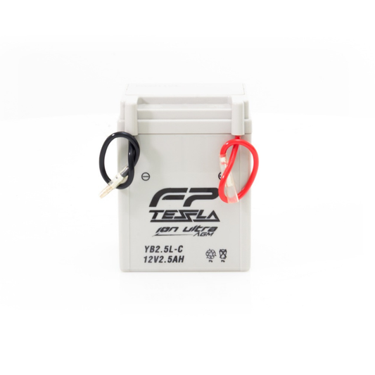 FP Batería AGM YB2.5L-C