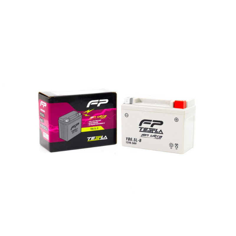 FP Batería AGM YB6.5L-B